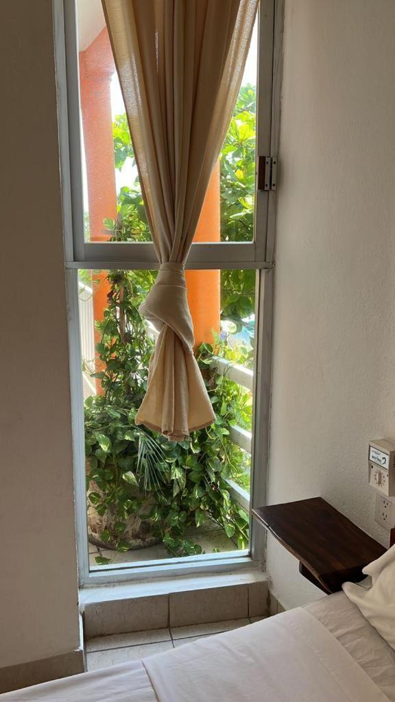 Casa Piedra Parada Puerto Escondido  Eksteriør billede